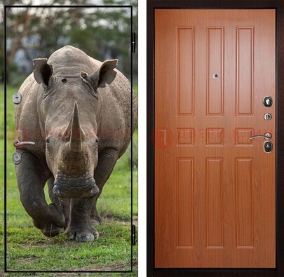 Металлическая дверь с фотопечатью носорога ДФ-31 в Яхроме